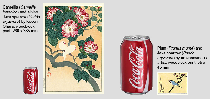 Woodblock print sizes